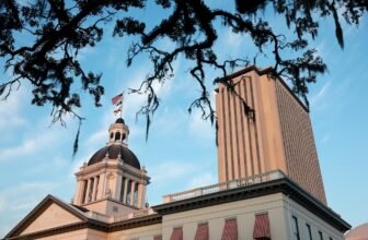 Florida is suing a number of porn corporations over age verification