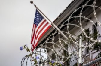 After a Sophisticated Authorized Previous, AI Set Her Free