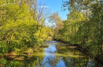 The Little Issues Publication #490 – Life, laughter, and plenty of nice meals!