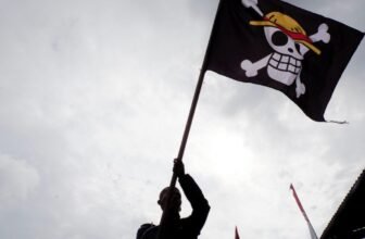 What the One Piece Flag Is Doing in Mexico Throughout Protests