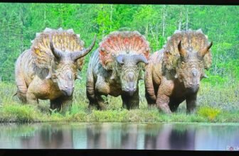 This LG TV is huge on vivid colours however lacks particulars in the dead of night